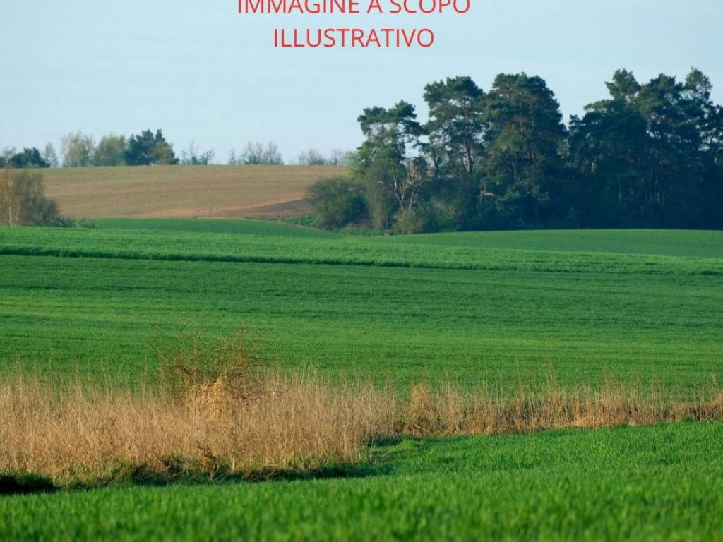 casa indipendente in vendita a Chioggia in zona Cavanella d'Adige