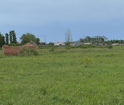 terreno agricolo in vendita a Chioggia