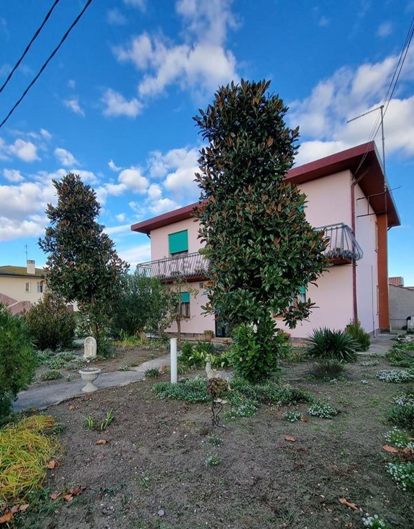 esavano in vendita a Chioggia