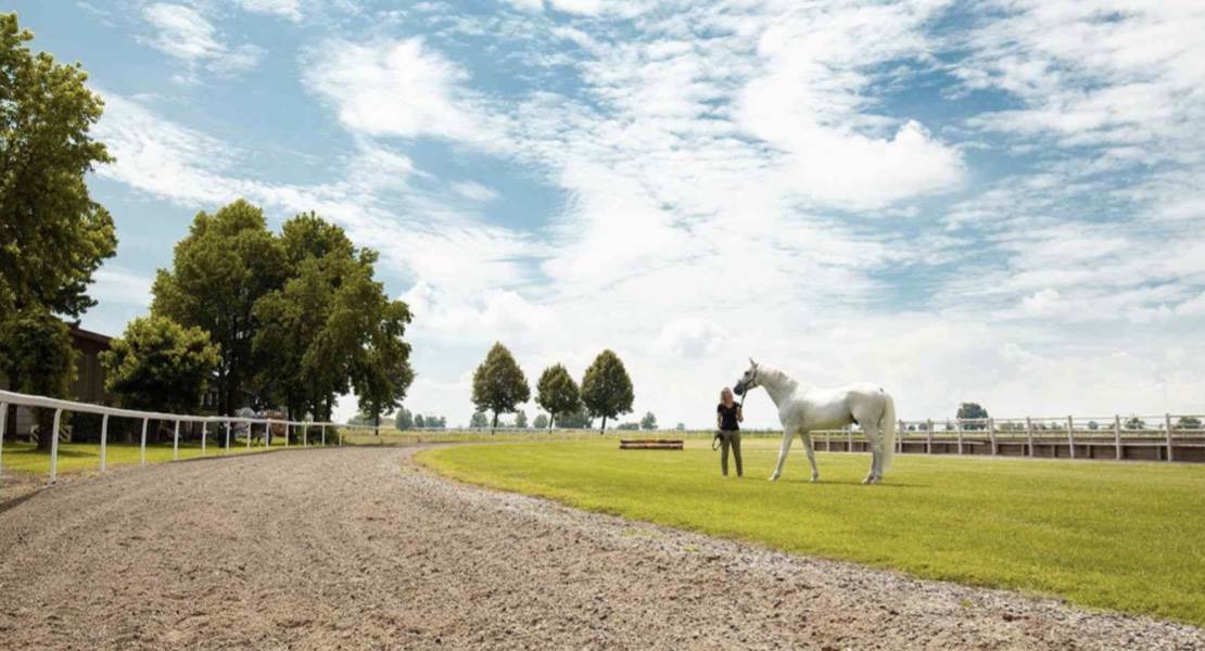 terreno agricolo in vendita a Chioggia in zona Valli
