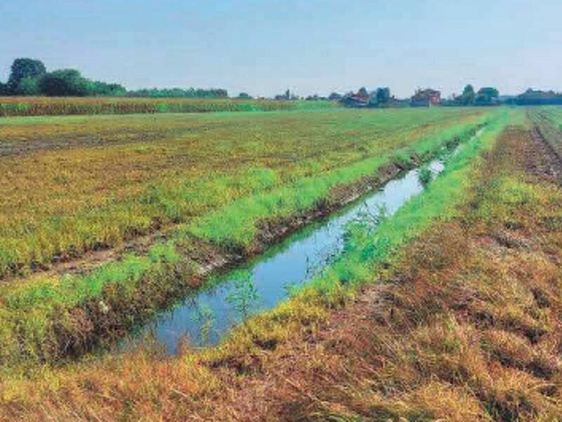 terreno agricolo in vendita a Chioggia in zona Cà Lino