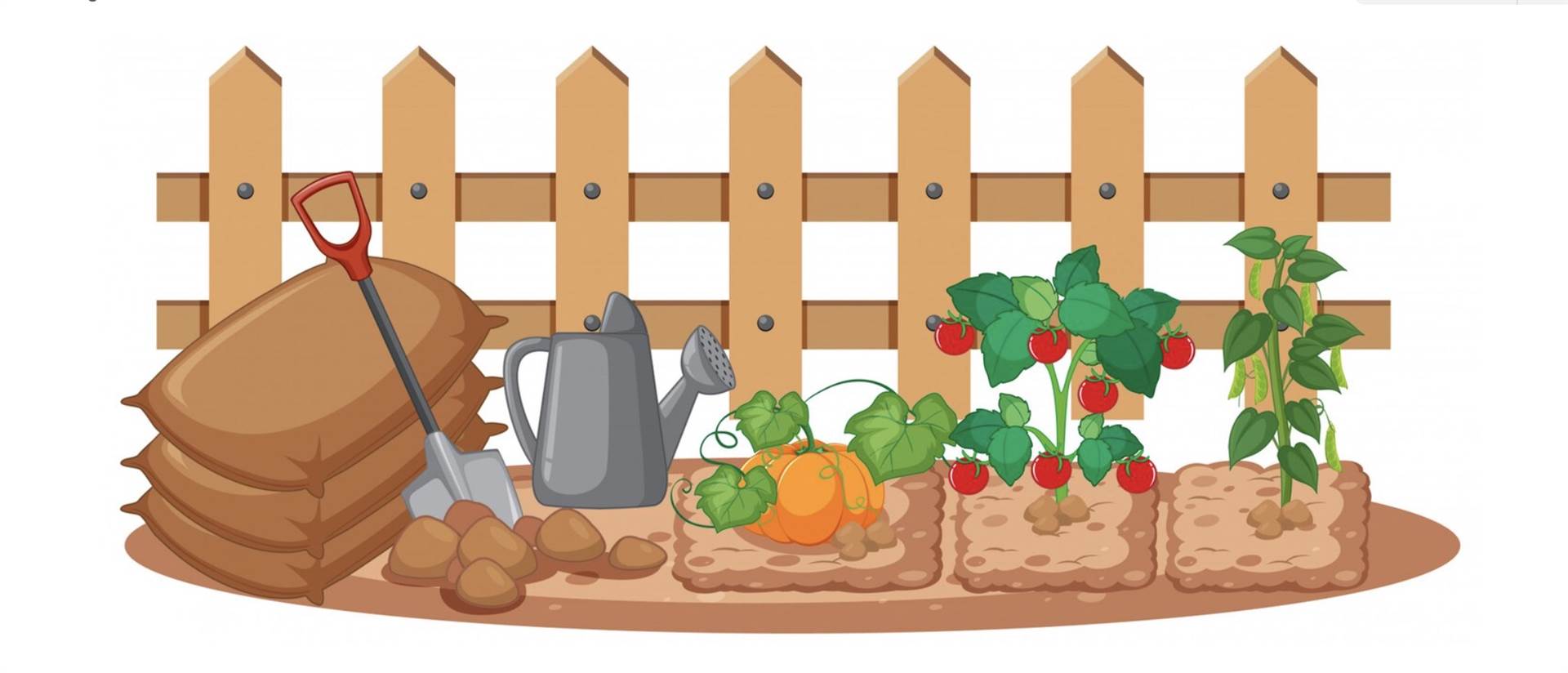 terreno agricolo in vendita a Chioggia