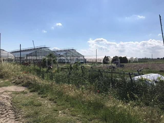 appartamento in vendita a Chioggia