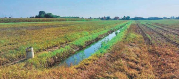 terreno edificabile in vendita a Chioggia in zona Cà Lino
