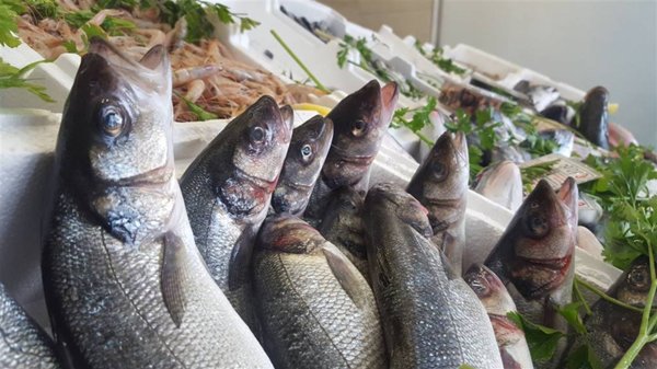 negozio in vendita a Chioggia