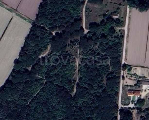 appartamento in vendita a Chioggia