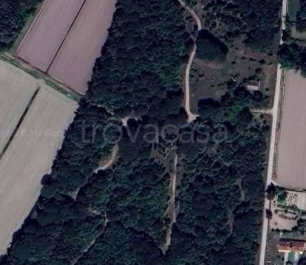 appartamento in vendita a Chioggia