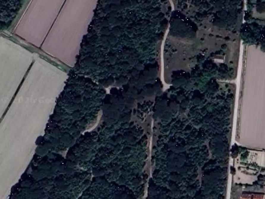 terreno agricolo in vendita a Chioggia