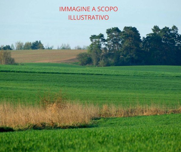 terreno in vendita a Chioggia in zona Sottomarina