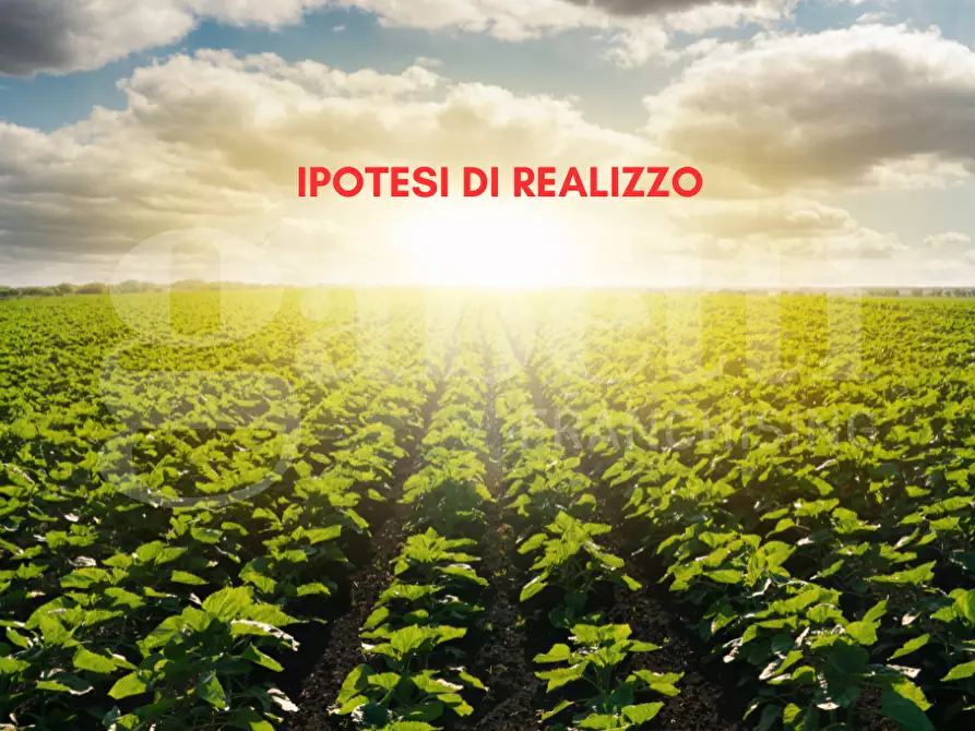 appartamento in vendita a Chioggia in zona Sottomarina