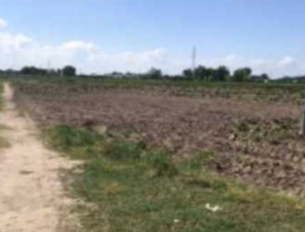 terreno agricolo in vendita a Chioggia in zona Cà Lino