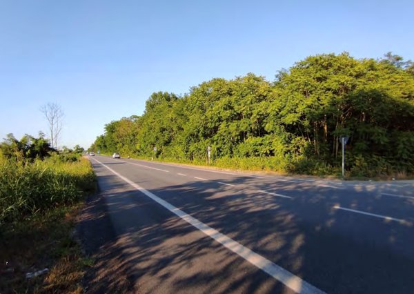 terreno agricolo in vendita a Chioggia
