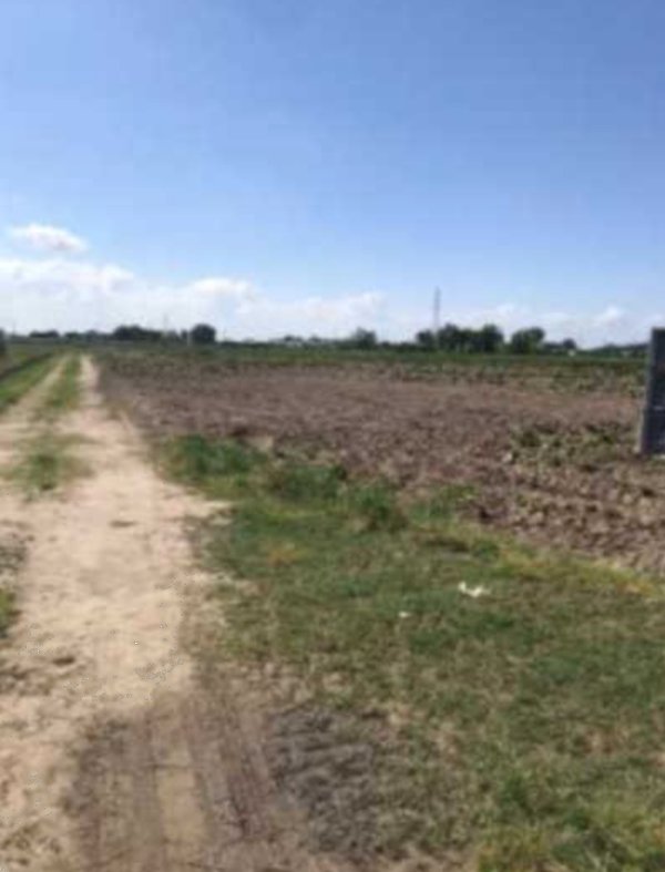 terreno agricolo in vendita a Chioggia in zona Cà Lino