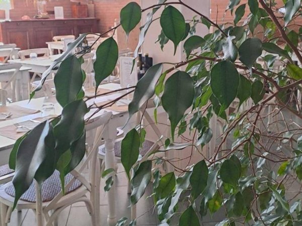 negozio in vendita a Chioggia in zona Sottomarina