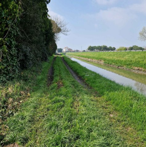 terreno edificabile in vendita a Chioggia in zona Cà Lino