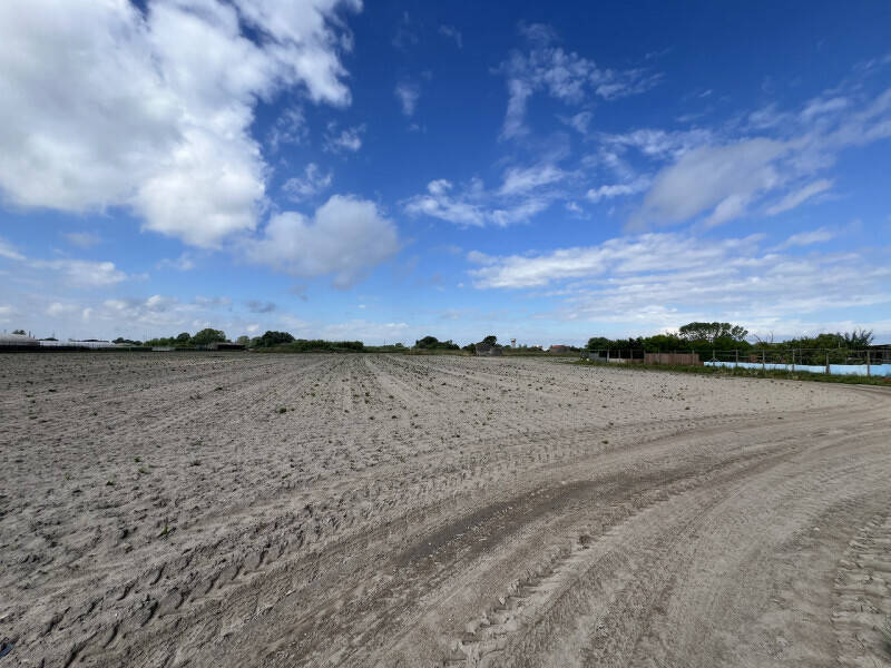 terreno agricolo in vendita a Chioggia
