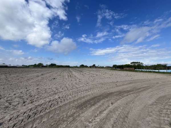 terreno agricolo in vendita a Chioggia in zona Brondolo