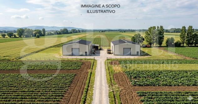 terreno in vendita a Chioggia