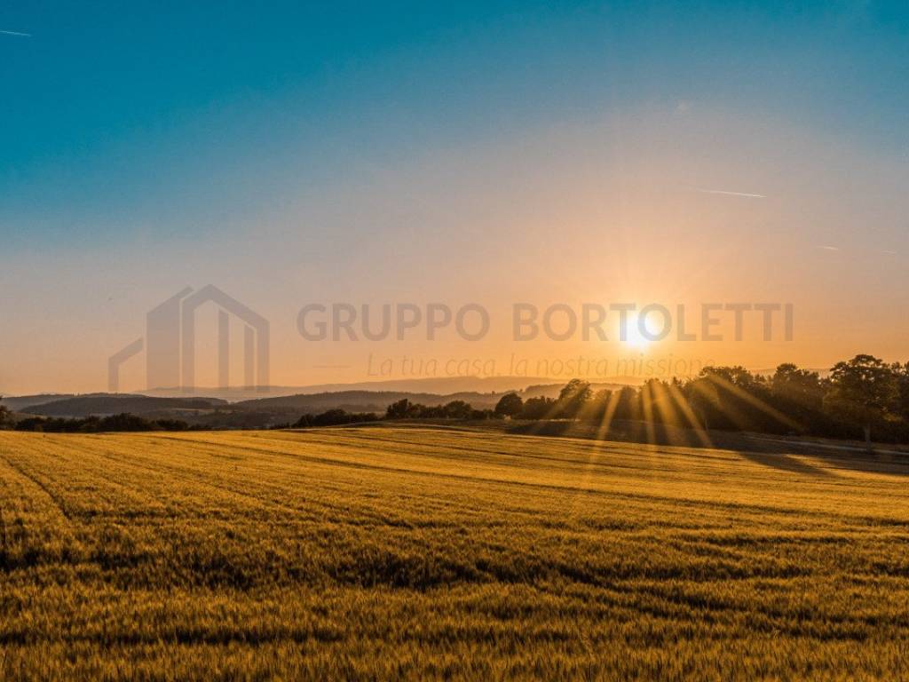 terreno in vendita a Chioggia in zona Valli