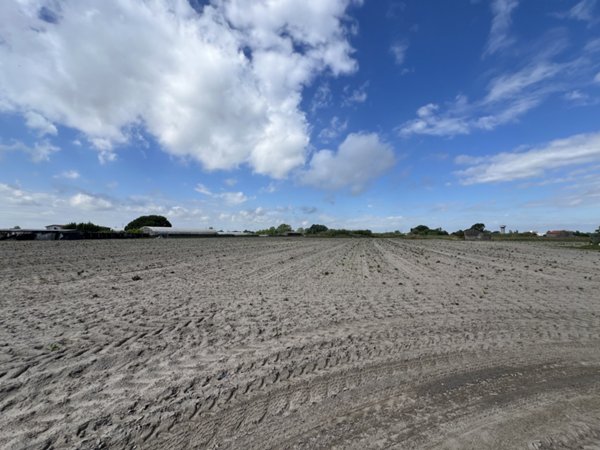 terreno in vendita a Chioggia in zona Sottomarina