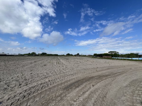 terreno in vendita a Chioggia in zona Sottomarina
