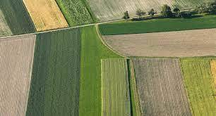 terreno in vendita a Chioggia in zona Cà Lino