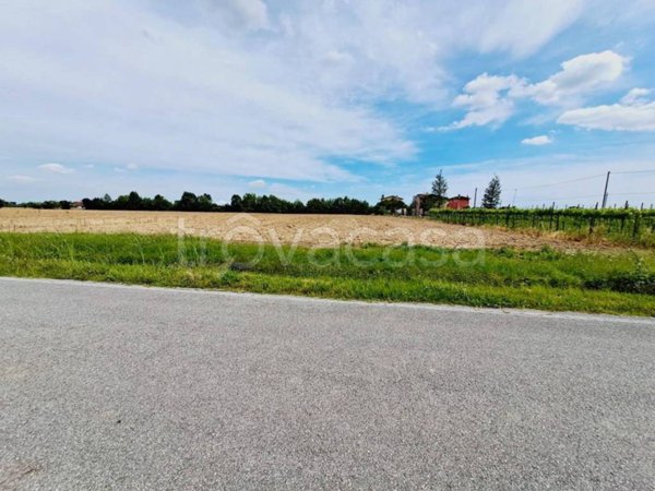terreno agricolo in vendita a Cinto Caomaggiore in zona San Biagio