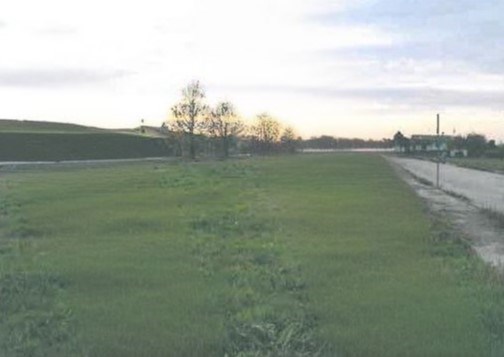 terreno agricolo in vendita a Cona