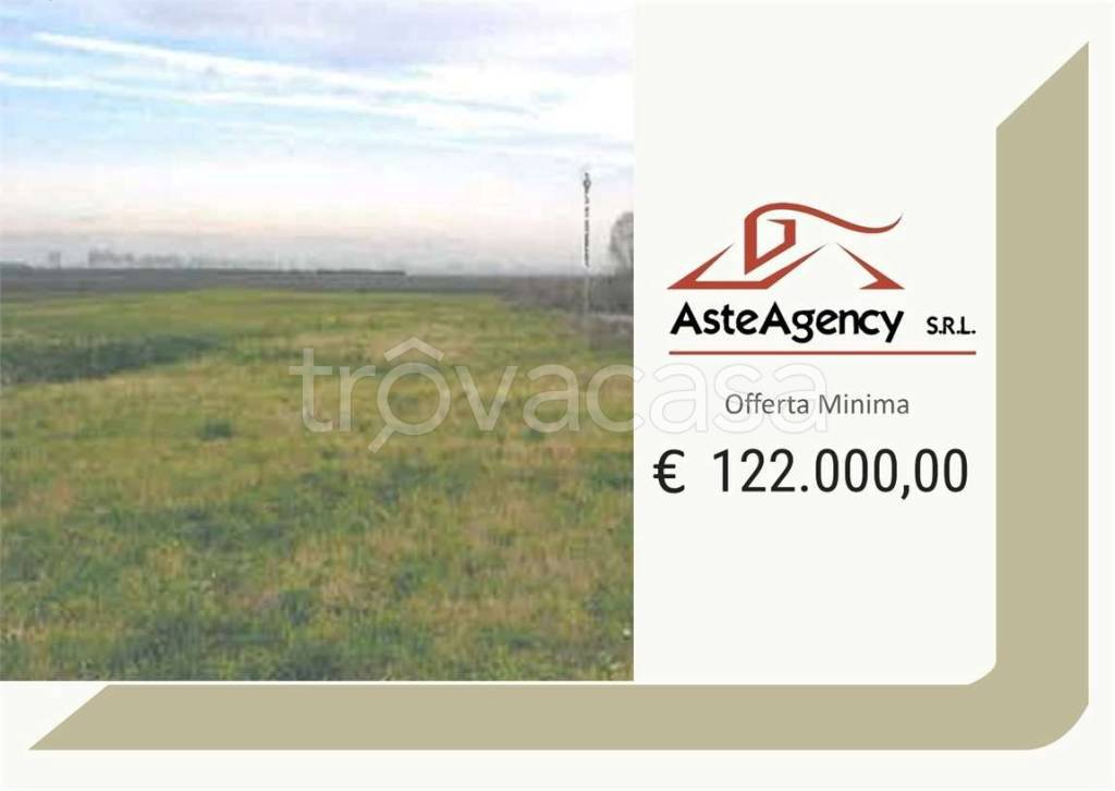 terreno agricolo in vendita a Cona