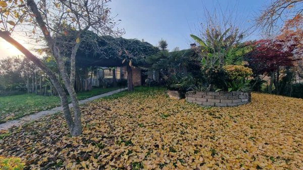 casa indipendente in vendita a Cona