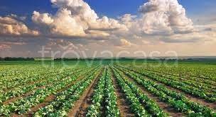 terreno agricolo in vendita a Concordia Sagittaria