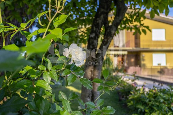 casa indipendente in vendita a Concordia Sagittaria