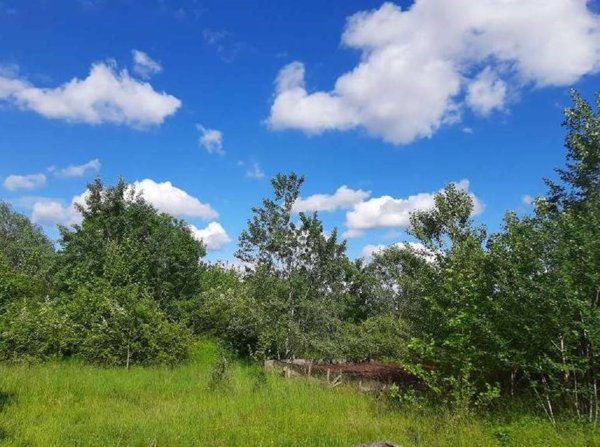 negozio in vendita a Concordia Sagittaria