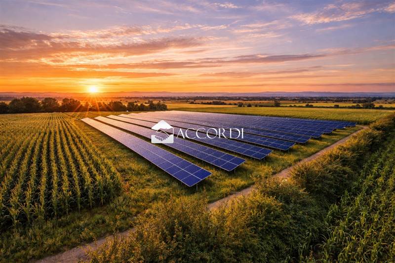 terreno agricolo in vendita a Concordia Sagittaria