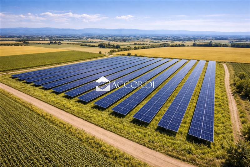 terreno agricolo in vendita a Concordia Sagittaria