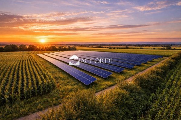 terreno agricolo in vendita a Concordia Sagittaria