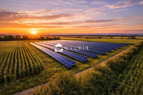 terreno agricolo in vendita a Concordia Sagittaria