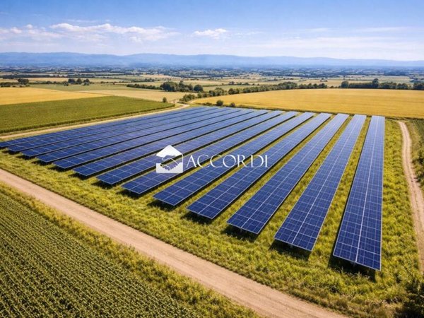 terreno agricolo in vendita a Concordia Sagittaria