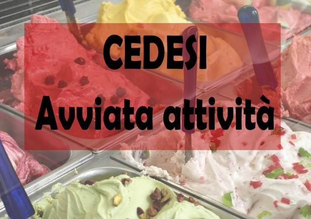 negozio in vendita a Dolo