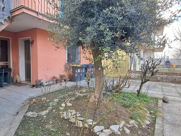 casa indipendente in vendita a Dolo
