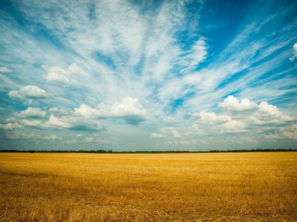 terreno agricolo in vendita a Dolo