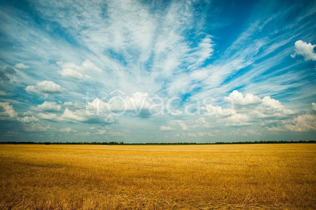 terreno agricolo in vendita a Dolo