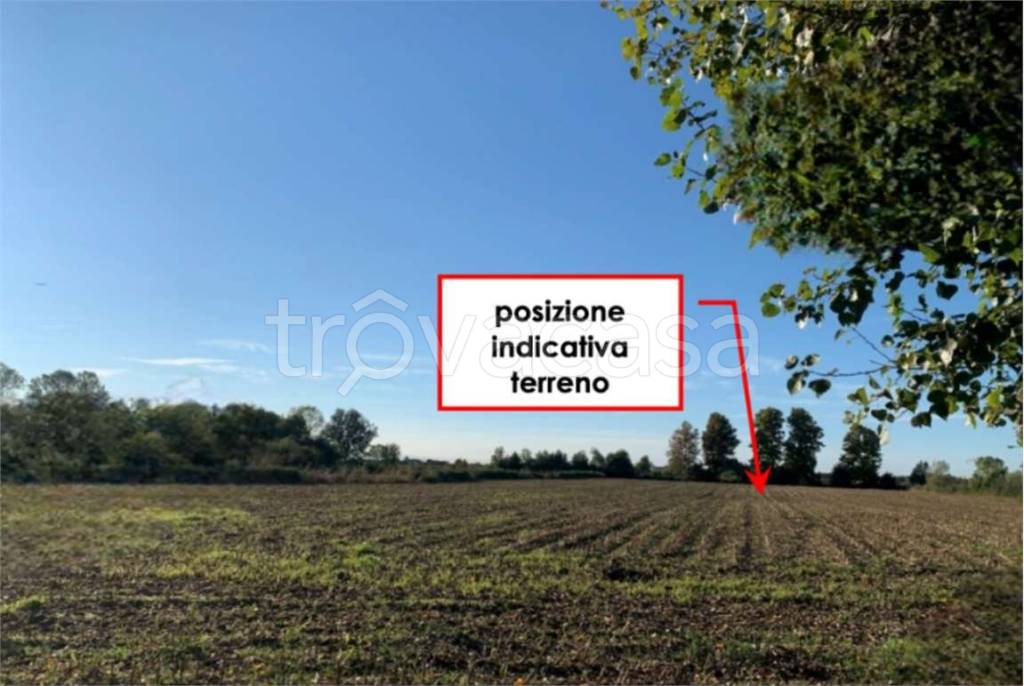 appartamento in vendita a Dolo