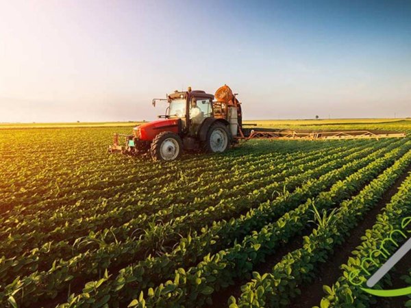 terreno agricolo in vendita a Dolo