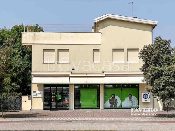 appartamento in vendita a Dolo