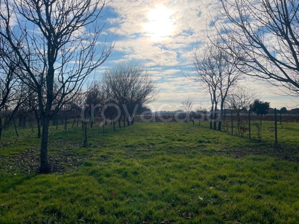 casa indipendente in vendita a Dolo