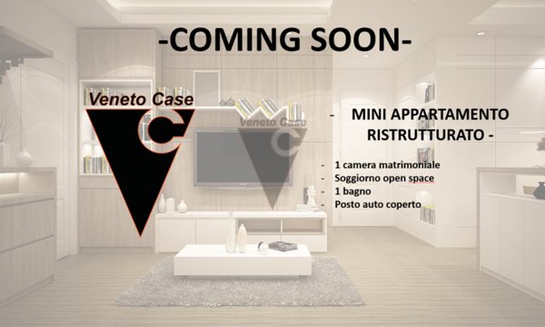 appartamento in vendita a Dolo