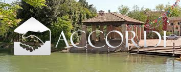 negozio in vendita a Dolo