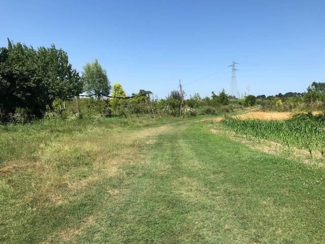 terreno agricolo in vendita a Dolo