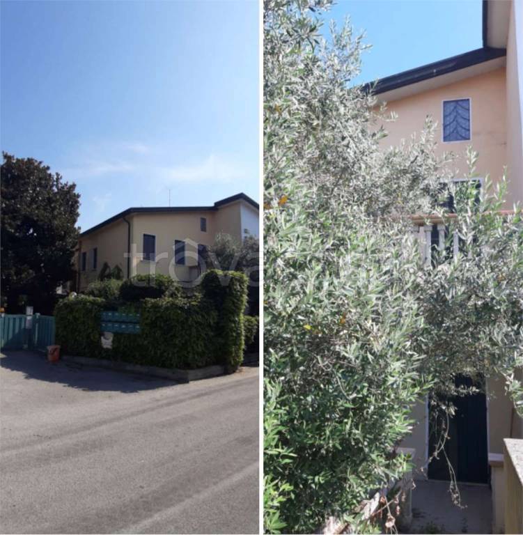 casa indipendente in vendita a Dolo